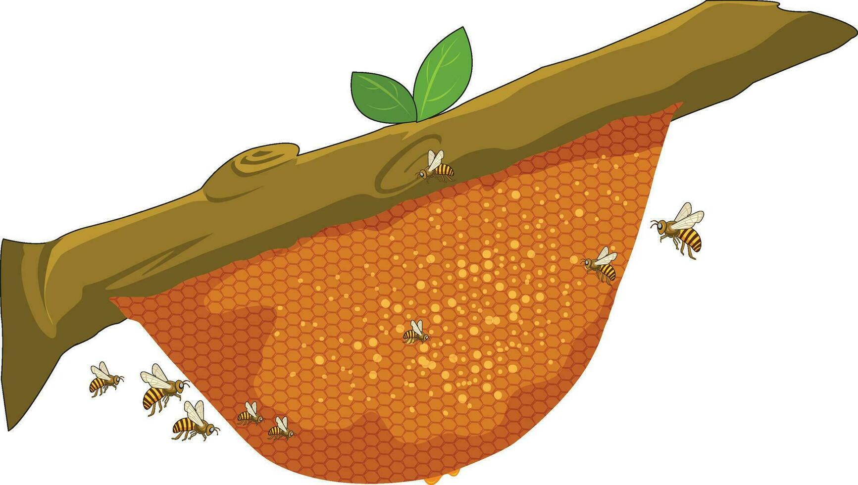 Bienenstock Vektor Illustration