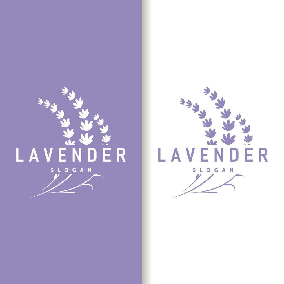 Lavendel Logo elegant lila Blume Pflanze Illustration Blumen- Ornament Design vektor