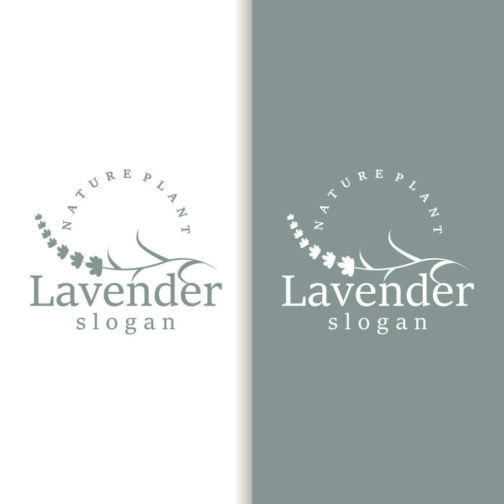 lavendel- logotyp elegant lila blomma växt illustration blommig prydnad design vektor