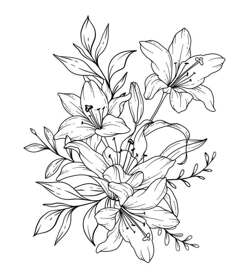 Lilie Linie Zeichnung. schwarz und Weiß Blumen- Blumensträuße. Blume Färbung Buchseite. Blumen- Linie Kunst. fein Linie Lilien Illustration. Hand gezeichnet Blumen. botanisch Färbung. Hochzeit Einladung Blumen vektor