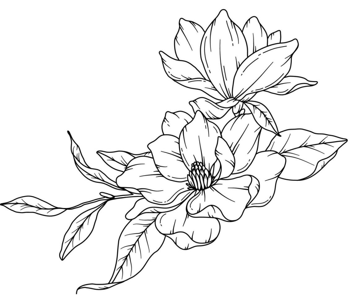 Magnolie Linie Zeichnung. schwarz und Weiß Blumen- Blumensträuße. Blume Färbung Buchseite. Blumen- Linie Kunst. fein Linie Magnolie Illustration. Hand gezeichnet Blumen. botanisch Färbung. Hochzeit Einladung Blumen vektor