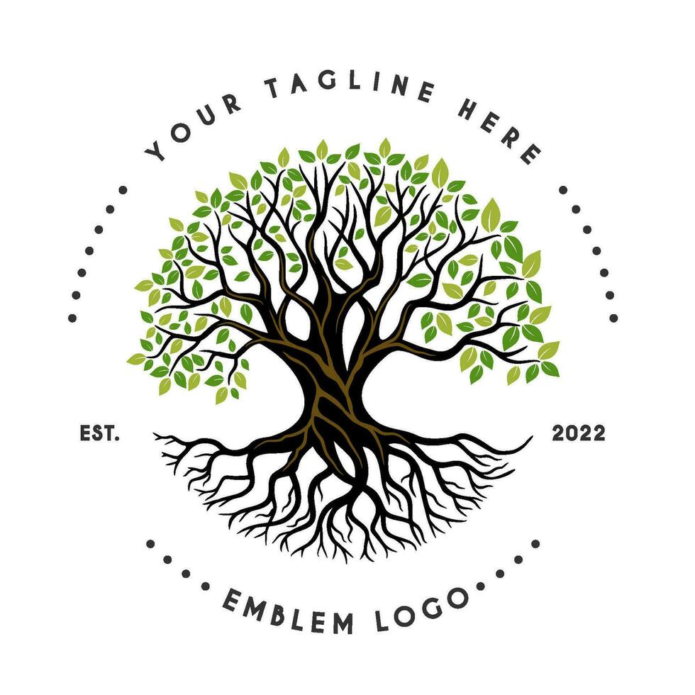 Jahrgang Wurzel Eiche Logo. groß Baum mit Wurzeln. Design zum Konstruktion, Gehäuse, Ausbildung, Gesundheit und Andere. vektor