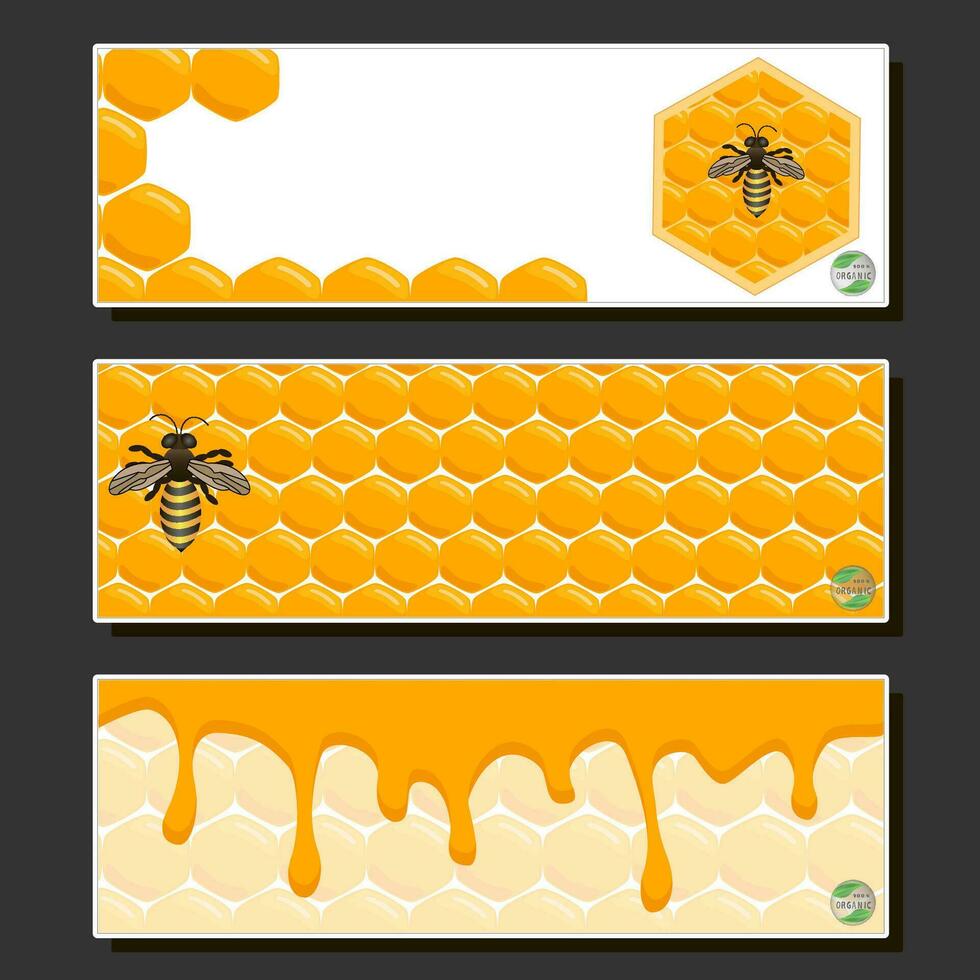 Tropfen Bienenhonig tropfen aus sechseckigen Waben, die mit goldenem Nektar gefüllt sind vektor