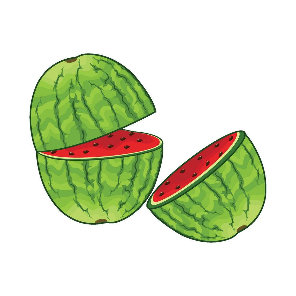 Illustration von Wassermelone vektor