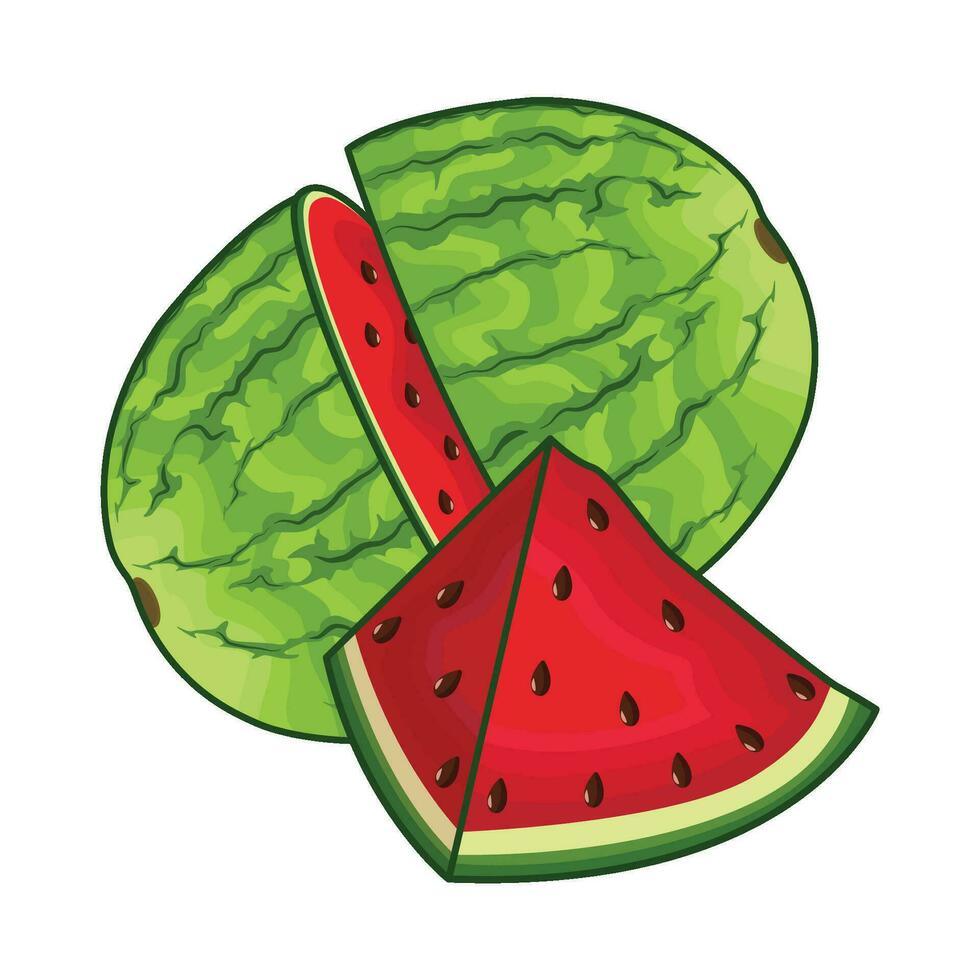 Illustration von Wassermelone vektor