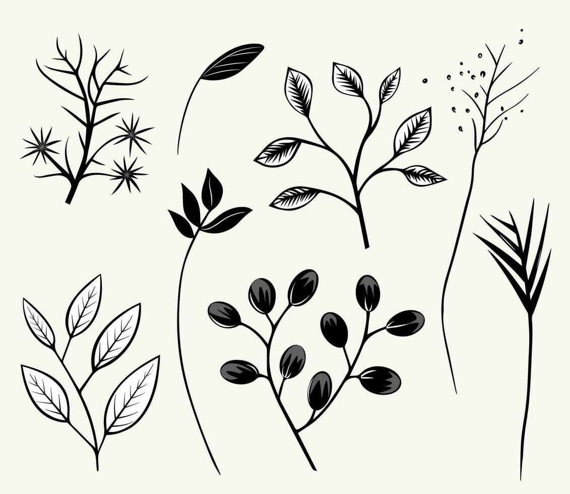 svartvit växter. löv, grenar, blommig element uppsättning. översikt botanisk illustration. hand dragen isolerat växter. vektor