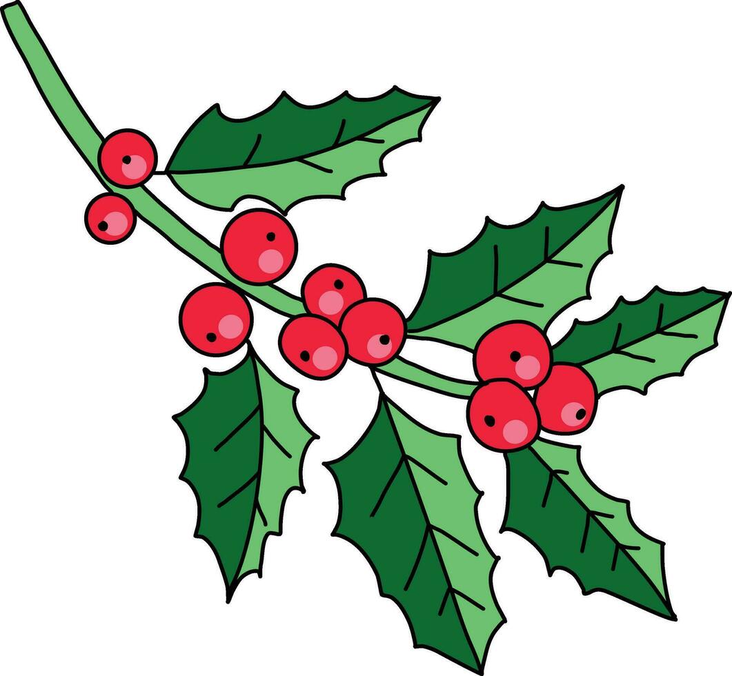 Stechpalme Karikatur, süß handgemalt Stechpalme Muster, das Stechpalme Design benutzt schmücken Weihnachten Karten, Einladungen, Kränze. schön Stechpalme Blätter und Beeren. vektor