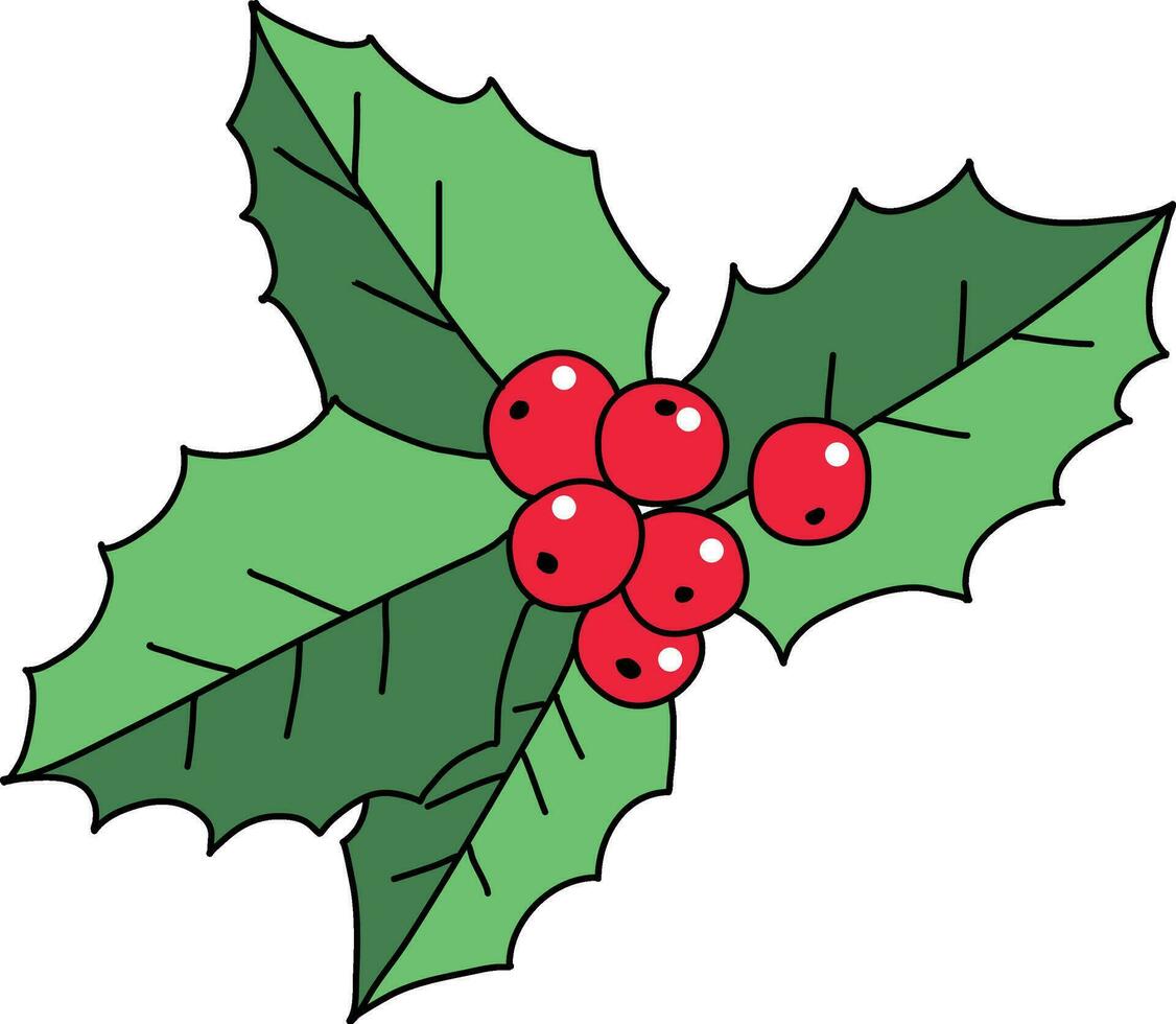 Stechpalme Karikatur, süß handgemalt Stechpalme Muster, das Stechpalme Design benutzt schmücken Weihnachten Karten, Einladungen, Kränze. schön Stechpalme Blätter und Beeren. vektor