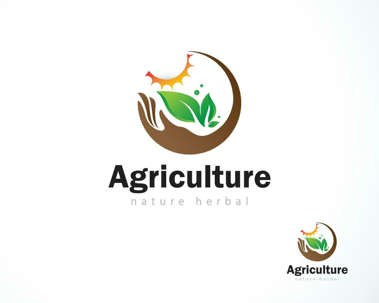 Landwirtschaft Logo kreativ Bauernhof Natur Kräuter- Pflege verlassen Sonne Design Konzept Wachstum vektor