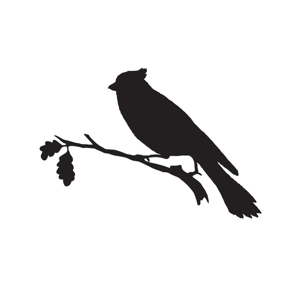Vogel Silhouette isoliert auf Weiß. dekorativ Vogel Sitzung auf Zweig von Baum. vektor