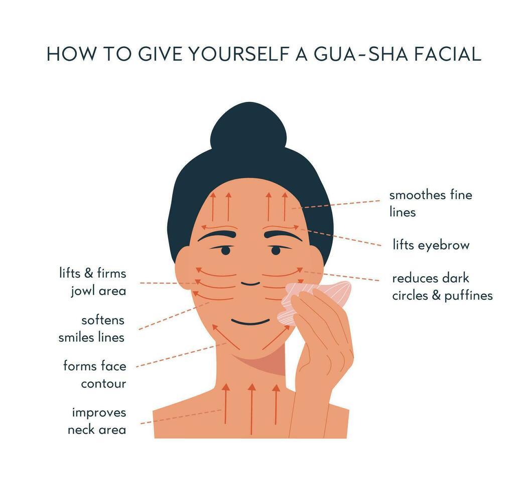 Infografik von gua sha Schaber Gesichts- Yoga. Massage Richtung zum Jade Rolle. ein Frau massieren mit Rose Quarz Stein. Akupunktur Antialterung traditionell Chinesisch Medizin selbst Pflege Methode. Vektor. vektor