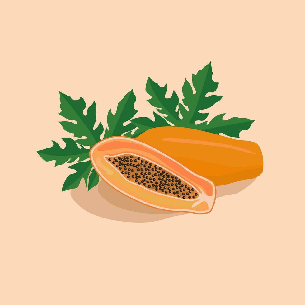 tropisk frukt papaya, hela och halv skära med frön och grön löv. exotisk asiatisk tropisk antioxidant diet mat. vektor platt illustration.