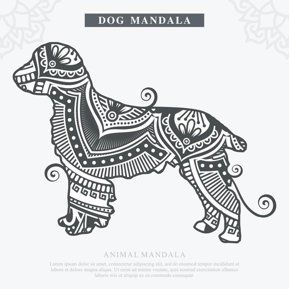 hund mandala vektor. vintage dekorativa element. orientaliskt mönster, vektorillustration. vektor