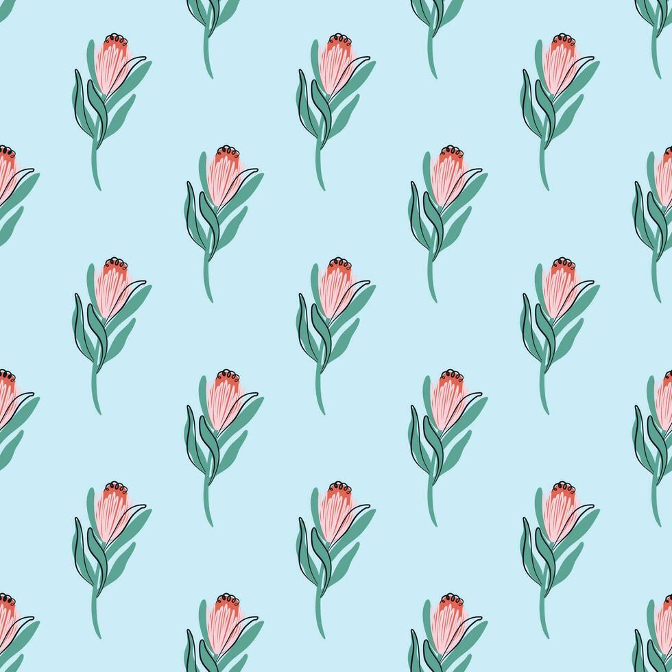 protea sömlös mönster. minimalistisk boho växt bakgrund. exotisk blomma prydnad. söder afrika nationell blomma. hand dragen vektor illustration.