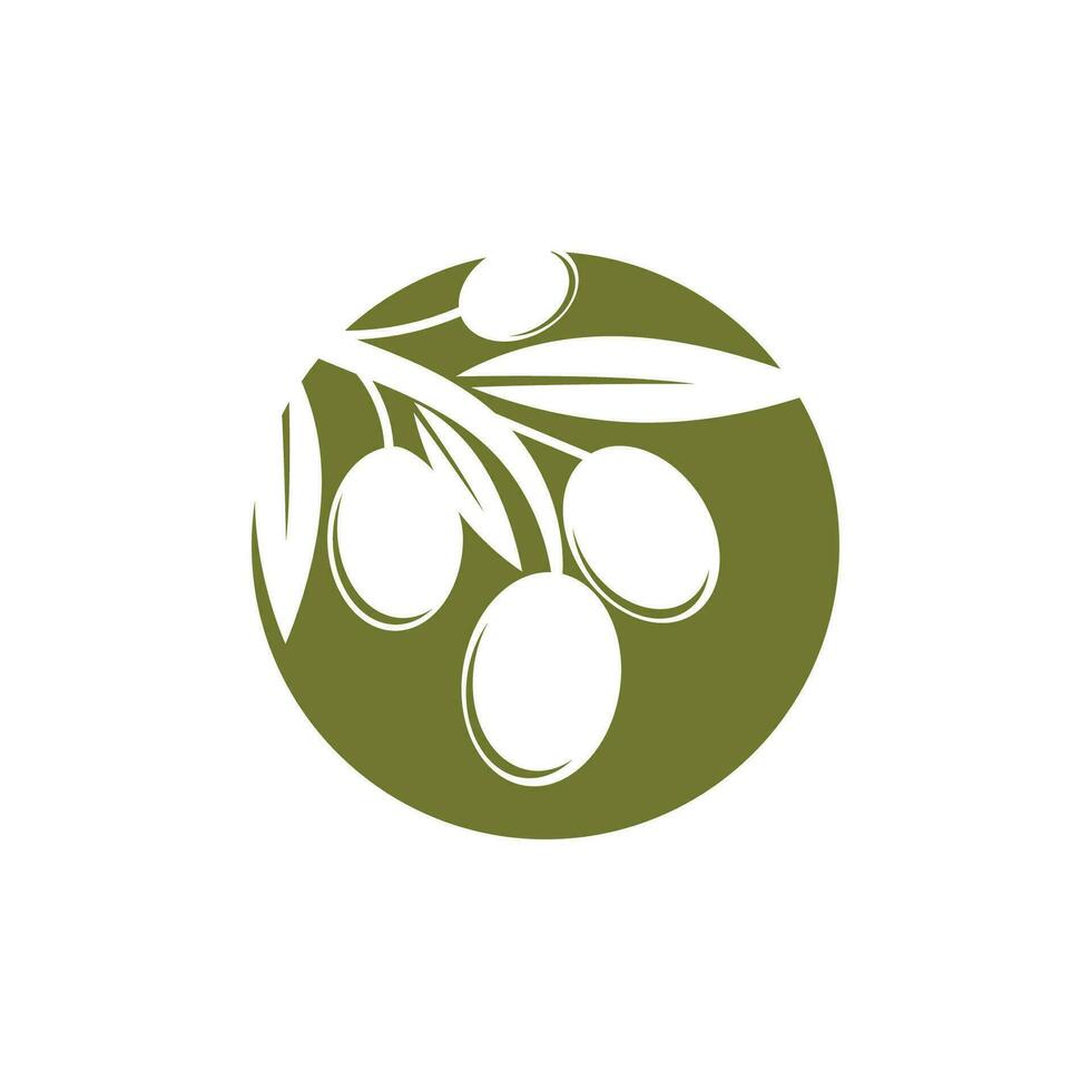 Olive Logo Vektor Vorlage Symbol Element Natur