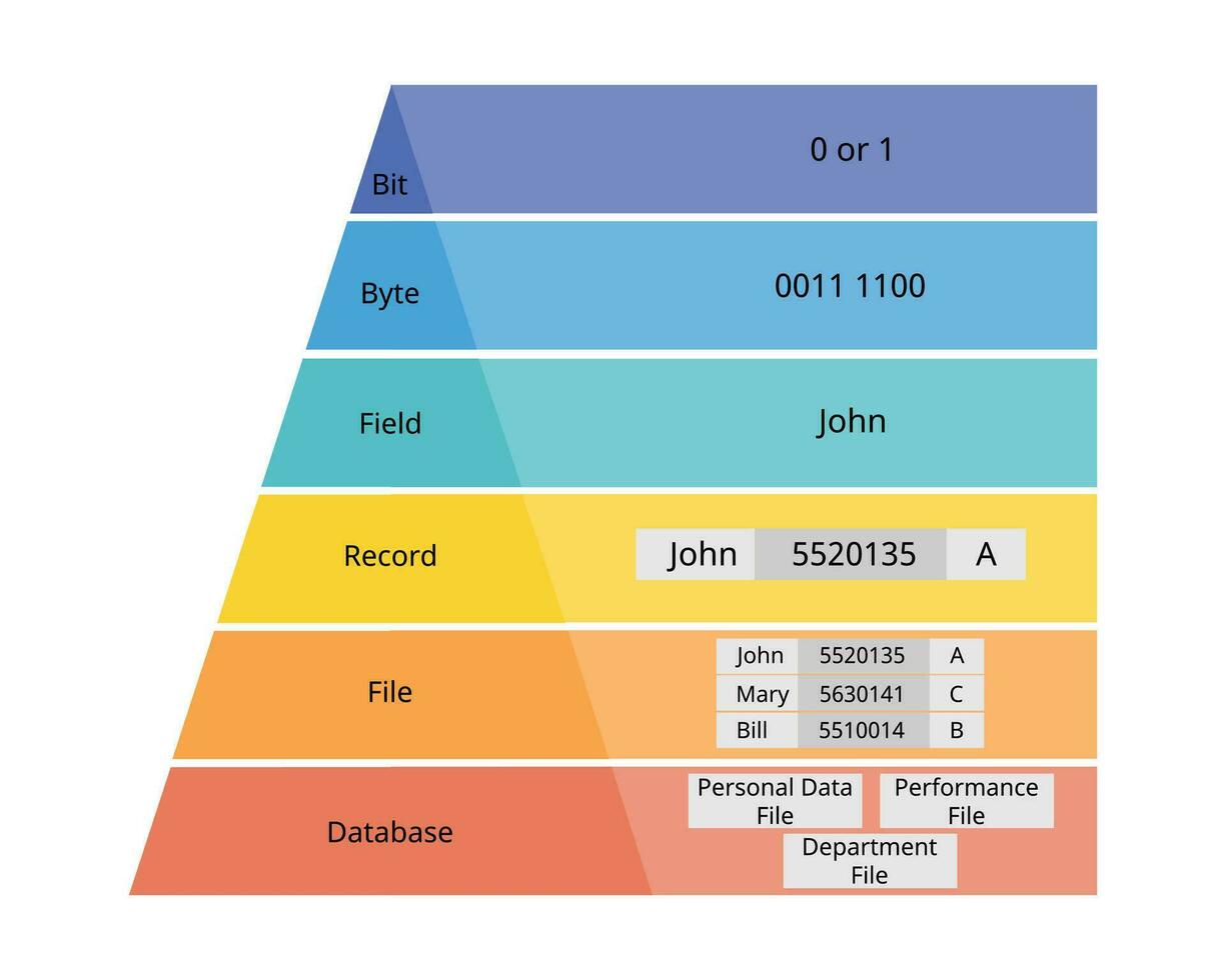 data hierarki av bit, byte, fält, spela in, fil, databas vektor