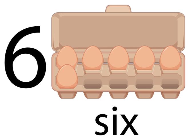 Sex ägg i kartong vektor