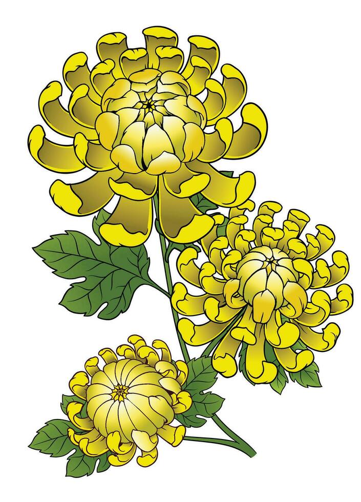 Jahrgang Illustration von Gelb Chrysantheme Blume vektor