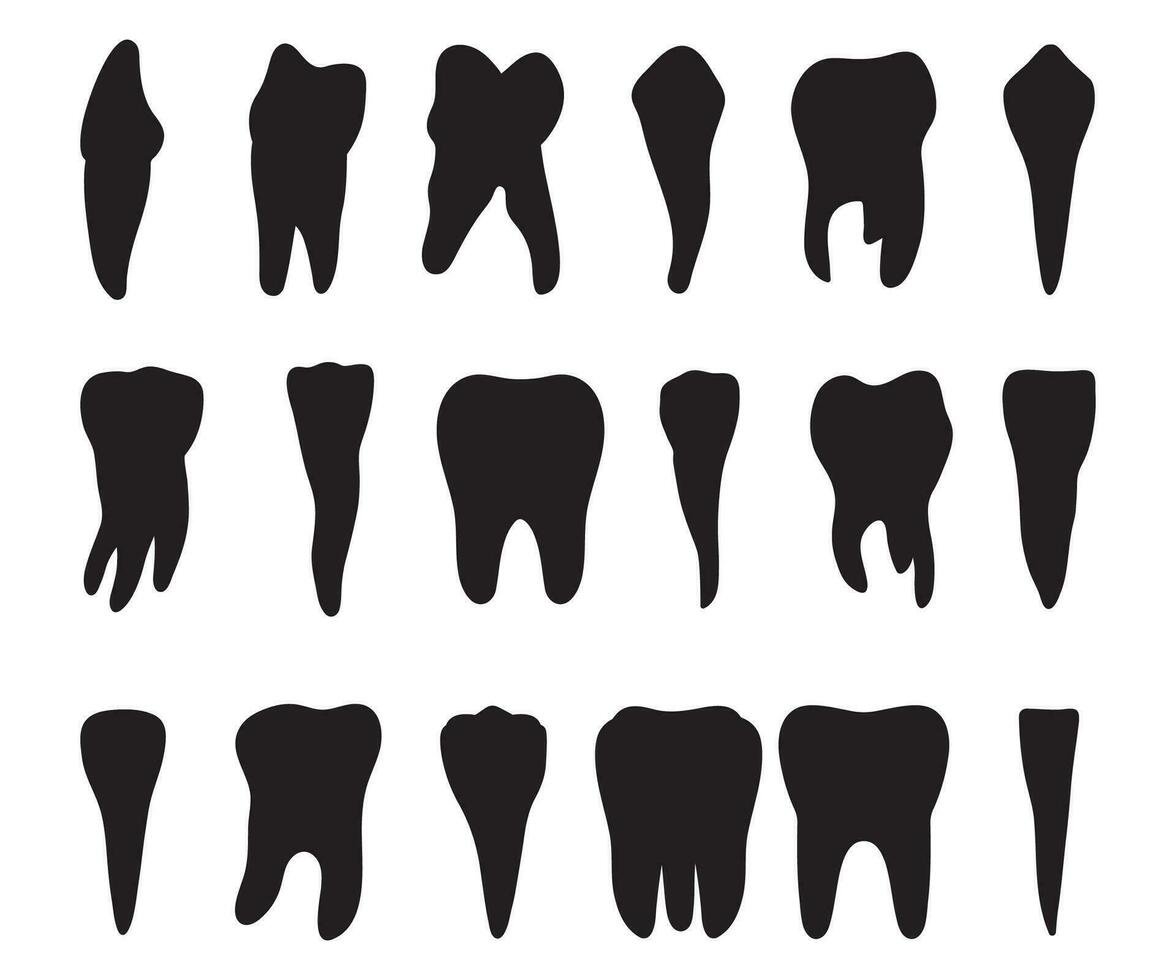 Zahn Silhouetten, Dental Clipart,Zahn Monogramm Vektor bündeln, Zahn Herzschlag, Dental Teilt Monogramm, Zahn Teilt Name rahmen, Dental Monogramm Clip Art