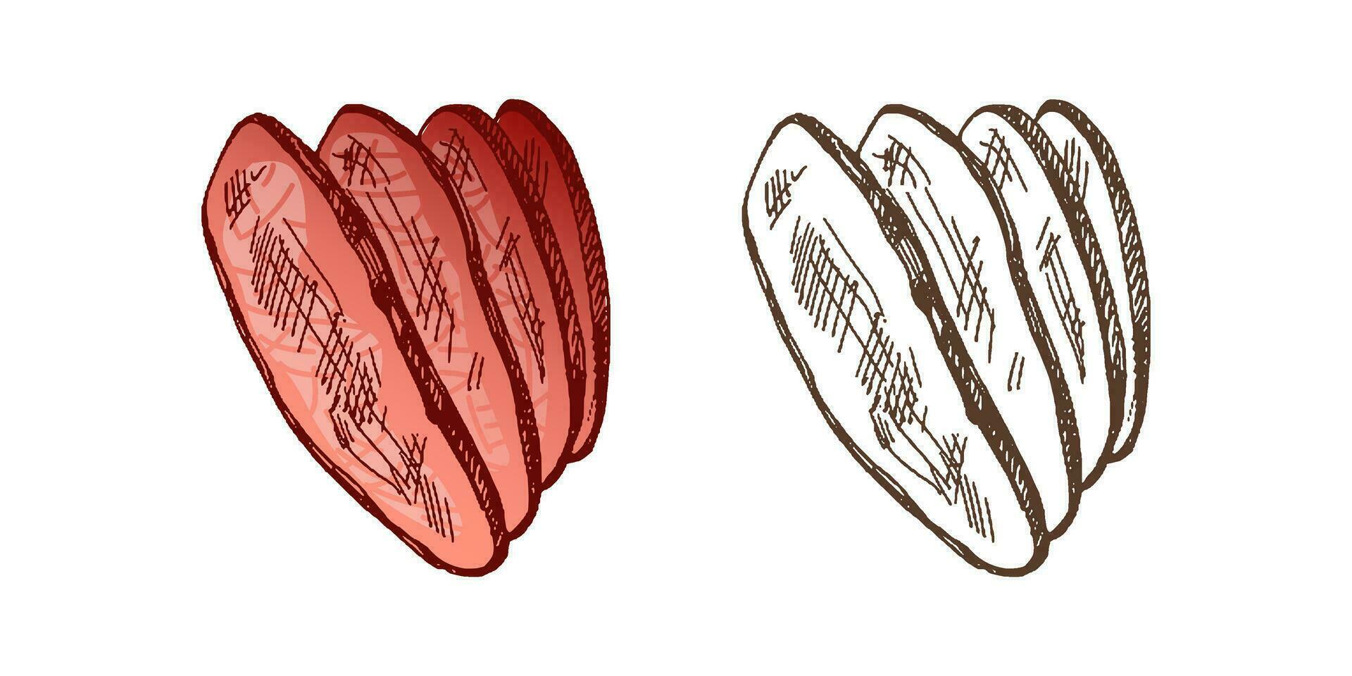 organisch Lebensmittel. Hand gezeichnet farbig und einfarbig Vektor skizzieren von gegrillt Rindfleisch Steak, Stück von Fleisch. Jahrgang Illustration. Dekorationen zum das Speisekarte. graviert Bild.