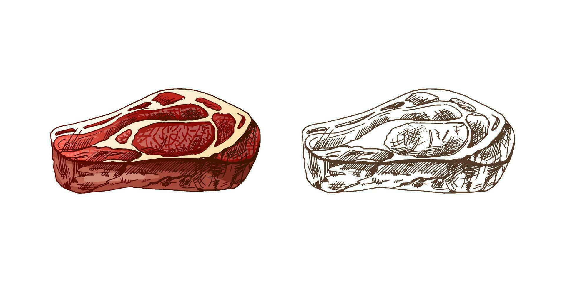 organisk mat. hand dragen färgad och svartvit vektor skiss av nötkött biff, bit av kött. klotter årgång illustration. dekorationer för de meny av kaféer. graverat bild.