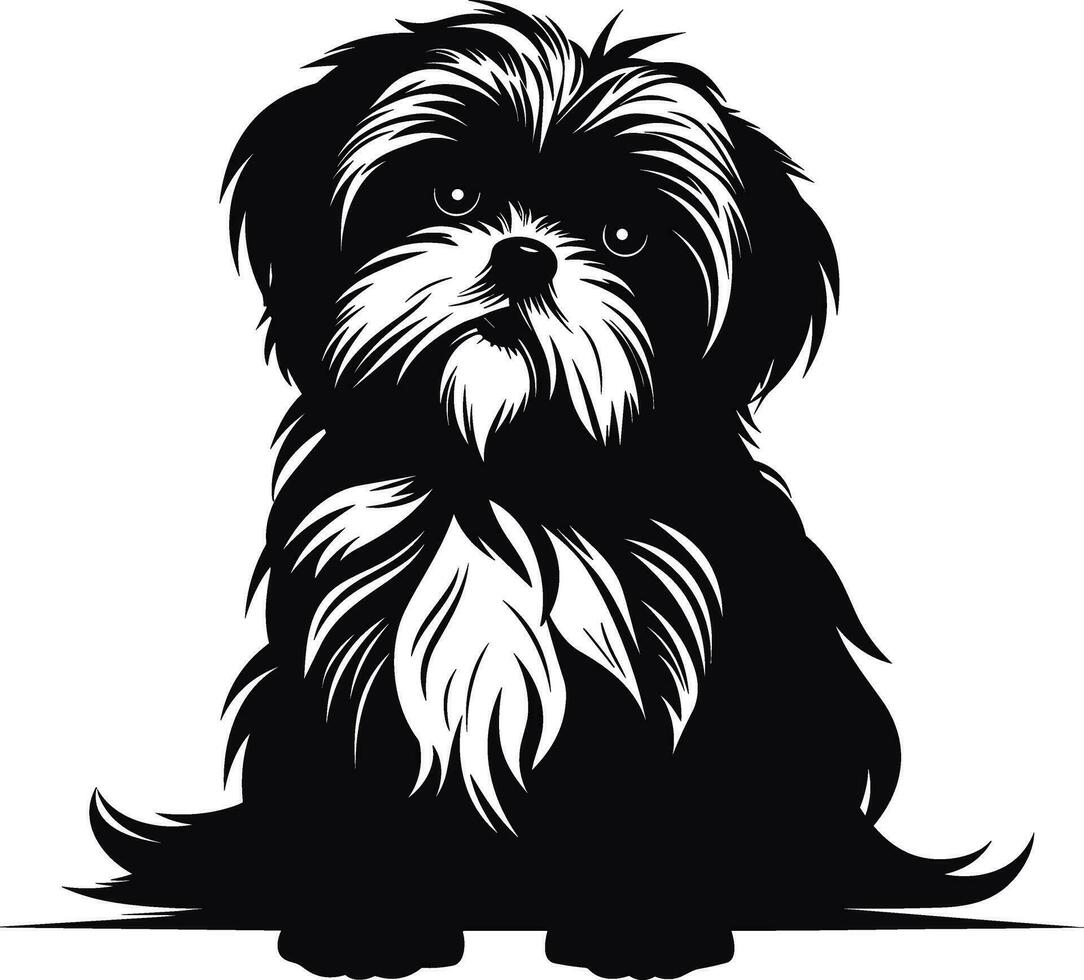 silhuett karaktär shih tzu hund, söt logotyp. vektor