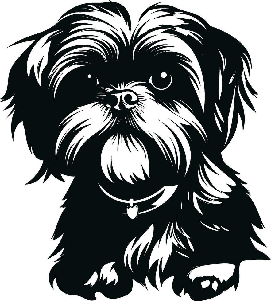 Silhouette Charakter shih tzu Hund, süß Logo. vektor