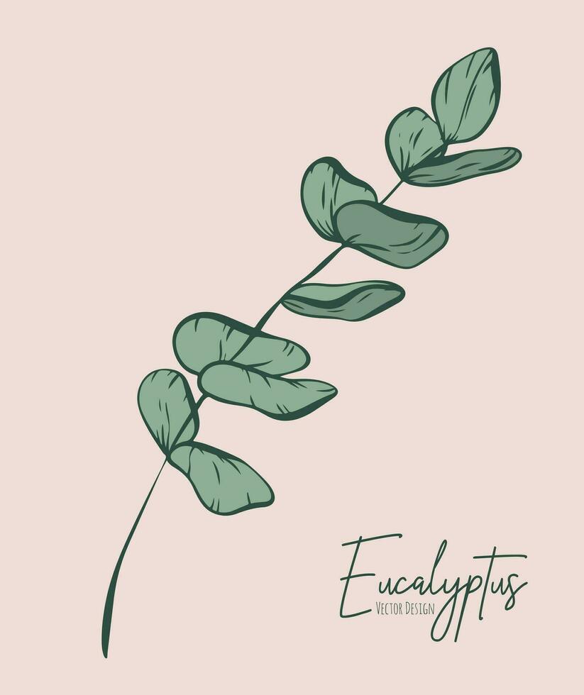 botanisch elegant Linie Illustration von ein Eukalyptus Blätter Ast zum Hochzeit Einladung und Karten, Logo Design, Netz, Sozial Medien und Poster, Vorlage, Werbung, Schönheit und kosmetisch Industrie. vektor