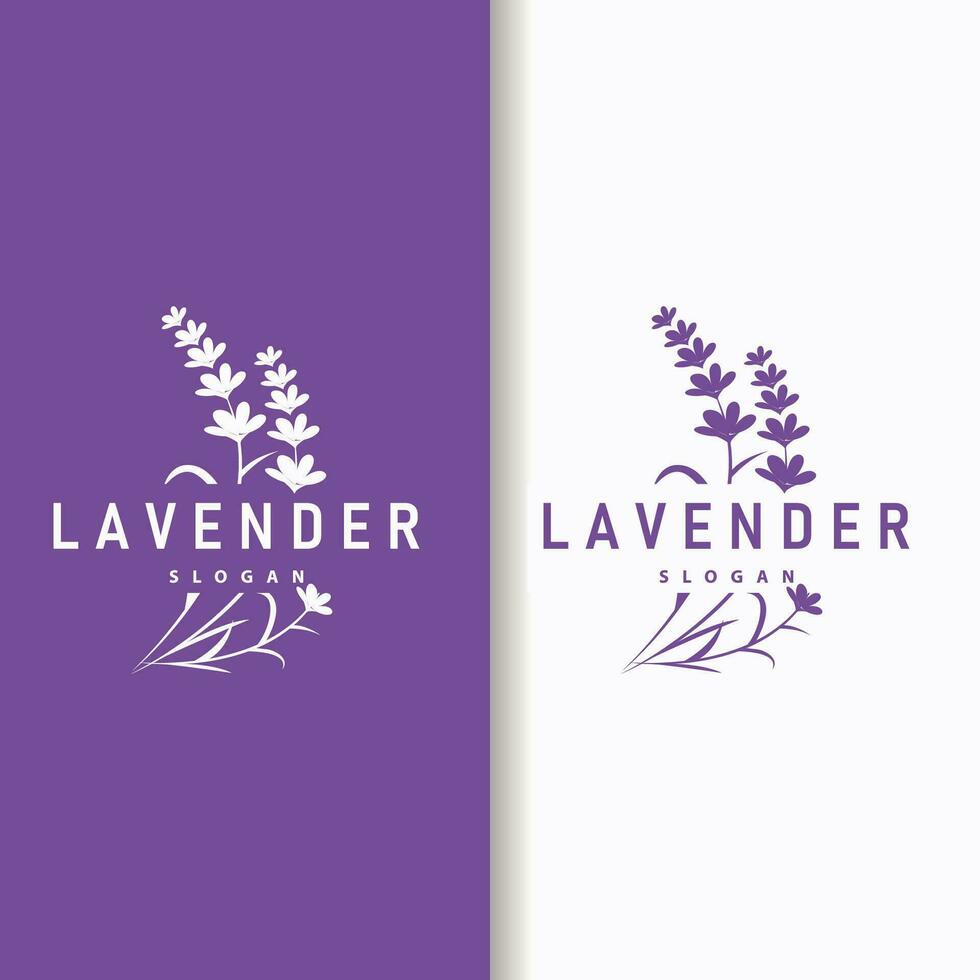 Lavendel Logo elegant lila Blume Pflanze Illustration Blumen- Ornament Design vektor