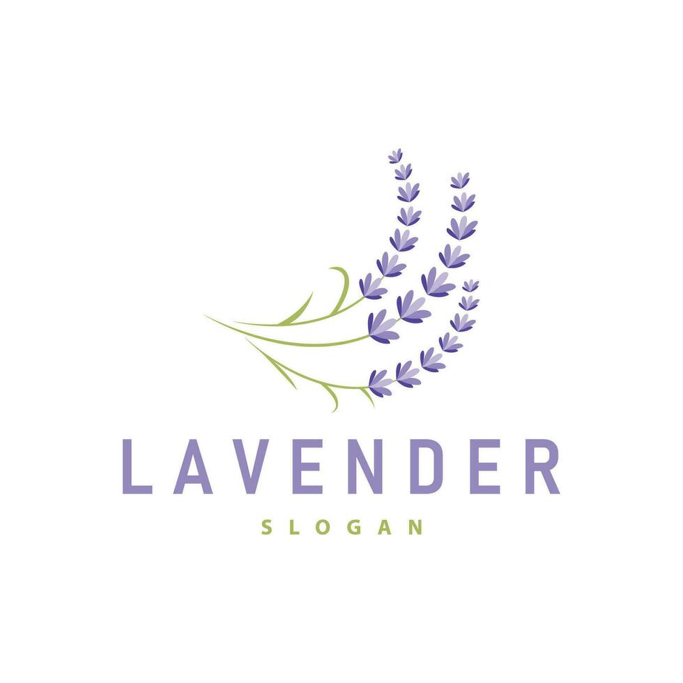 Lavendel Logo elegant lila Blume Pflanze Illustration Blumen- Ornament Design vektor