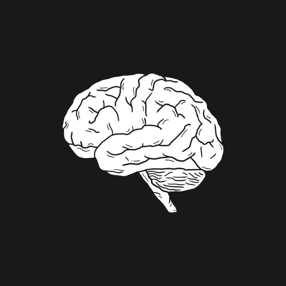 Mensch Gehirn Vektor Illustration Design