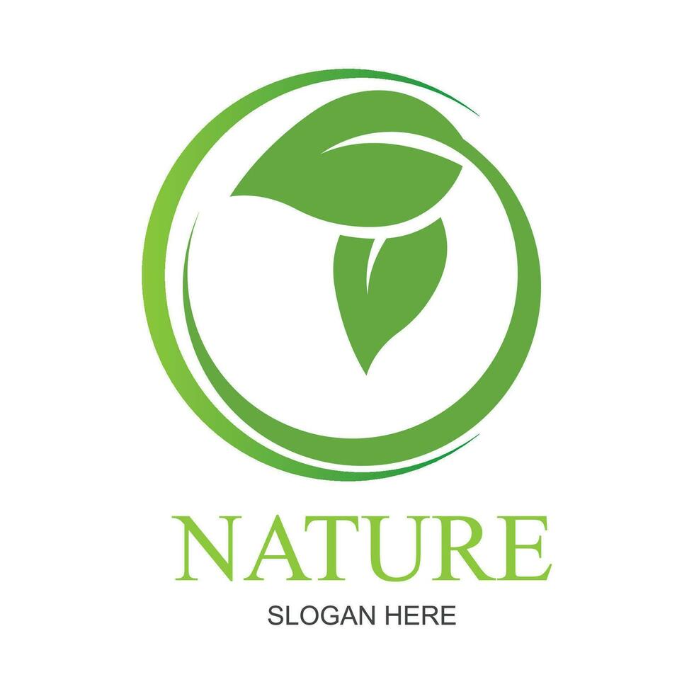 natur kreativ symbol organisk begrepp. bio ört- hälsa vård abstrakt företag eco logotyp. färsk mat, cirkel paket, skönhet flora, apotek ikon. företags- identitet logotyp, företag grafisk vektor