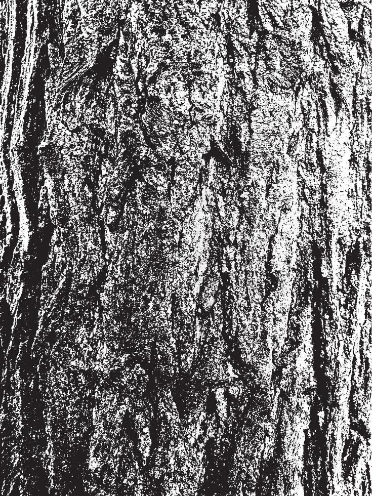 grunge träd bark textur. bedrövad överläggsstruktur. svartvitt vektorstruktur vektor