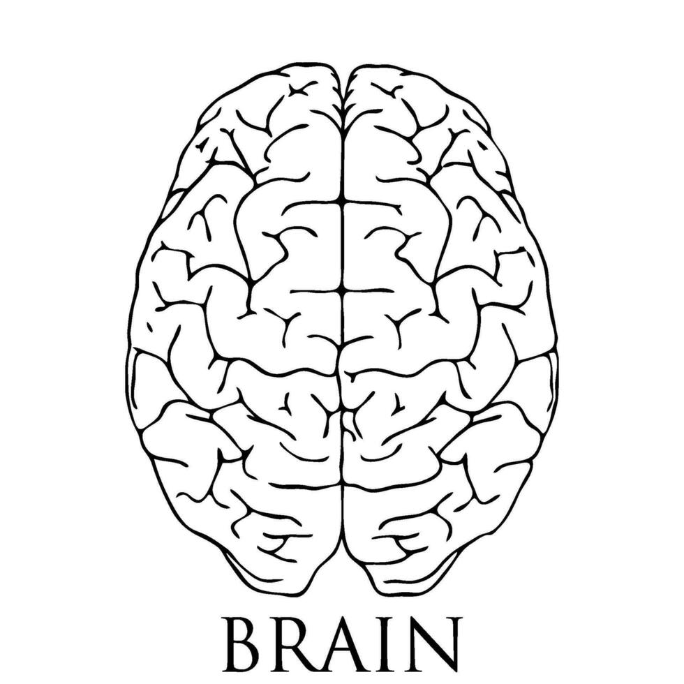 Gehirn Symbol Illustration vektor