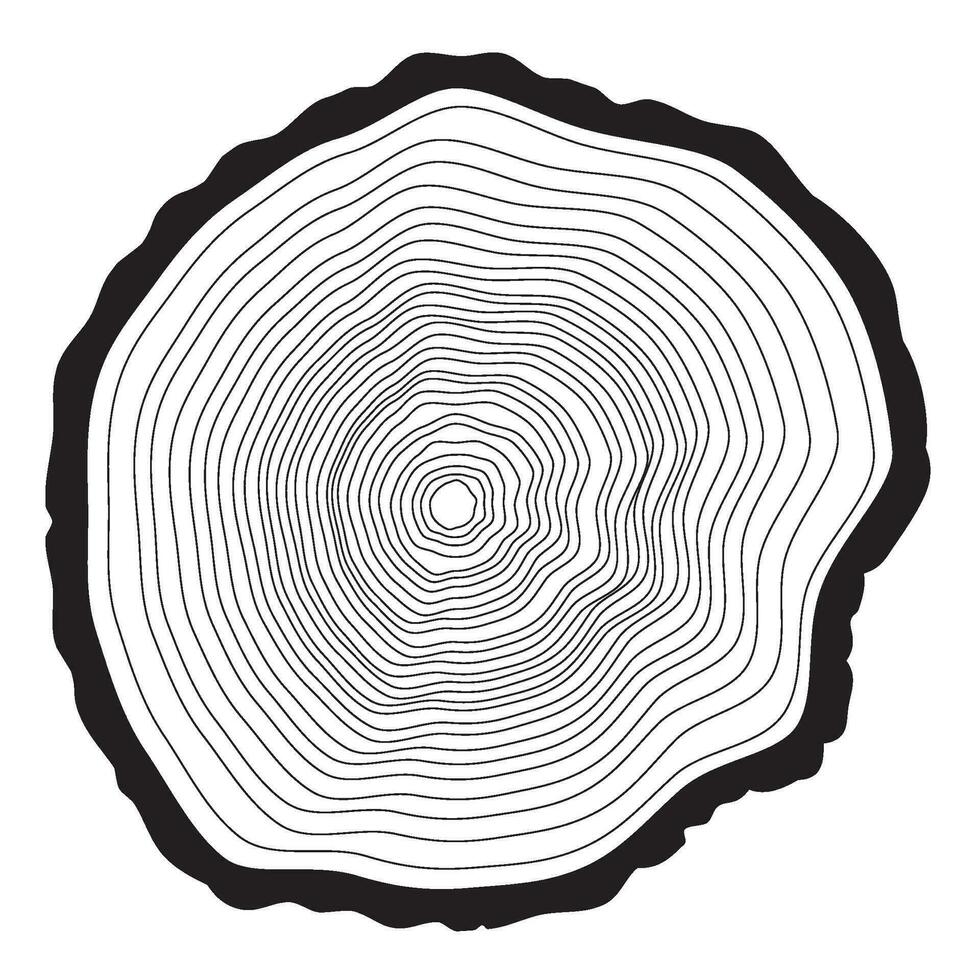 Baum Ringe Hintergrund. jährlich Baum vektor
