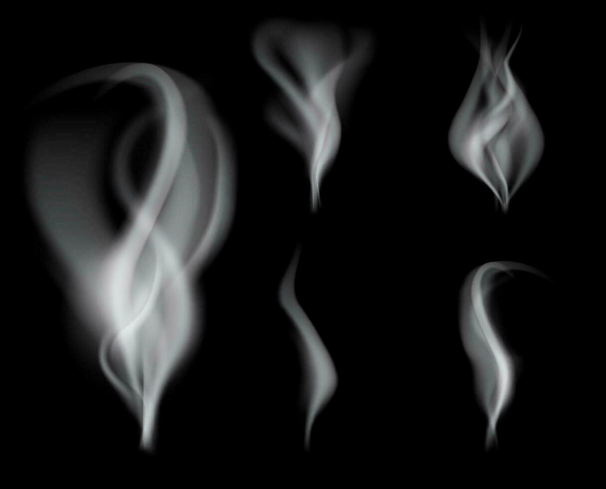 realistisk rök på svart bakgrund vektor