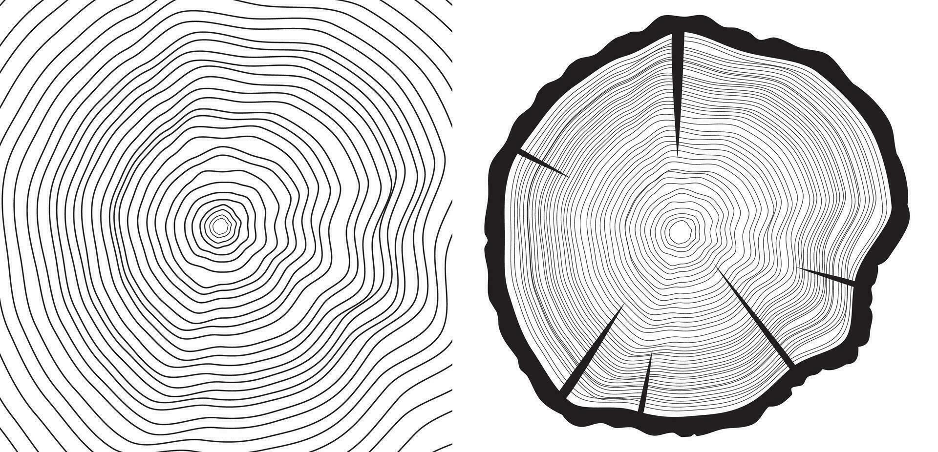 Sägeschnitt Baum Kofferraum und Baumringe Hintergrund vektor