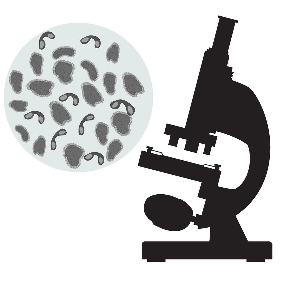 schwarz medizinisch Mikroskop und Bakterium. vektor