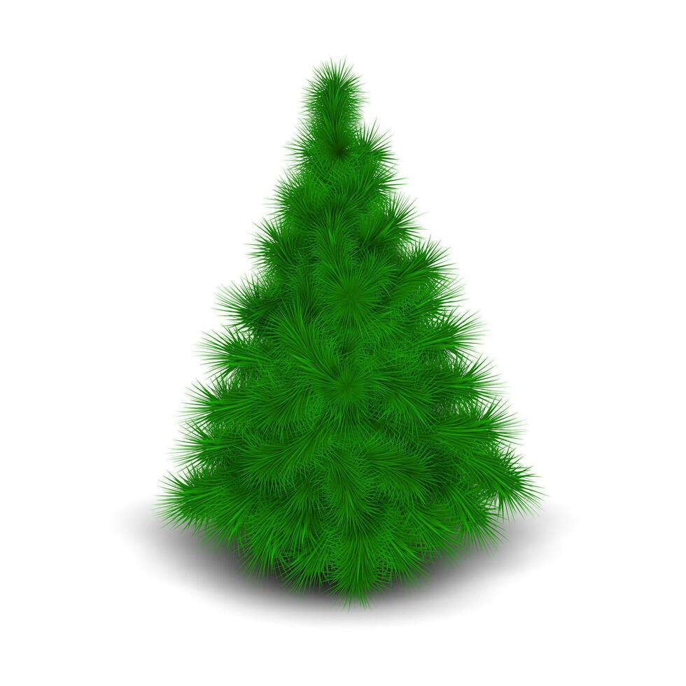 Weihnachtsbaum isoliert auf weißem Hintergrund vektor