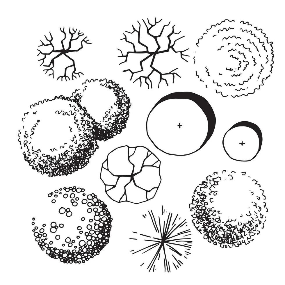 uppsättning av träd, hand teckning, topp se. arkitektonisk bläck teckning, vektor. vektor
