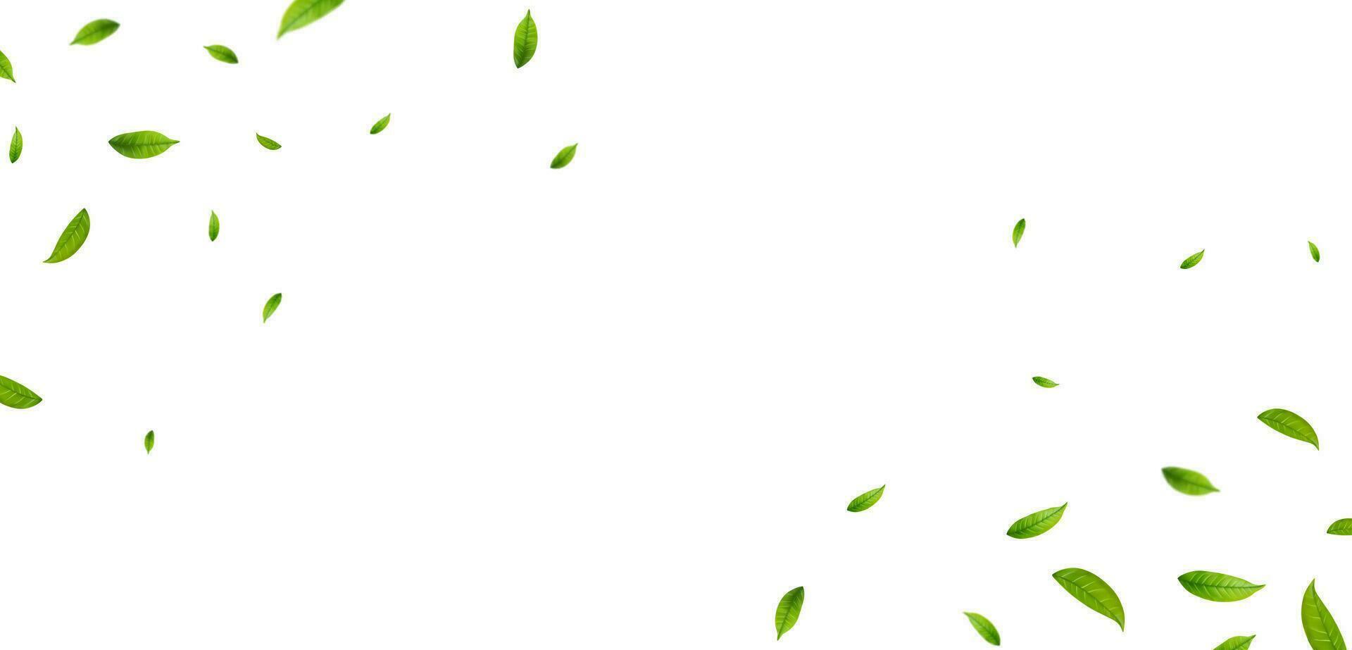 Grün Blätter Grenze. vektor