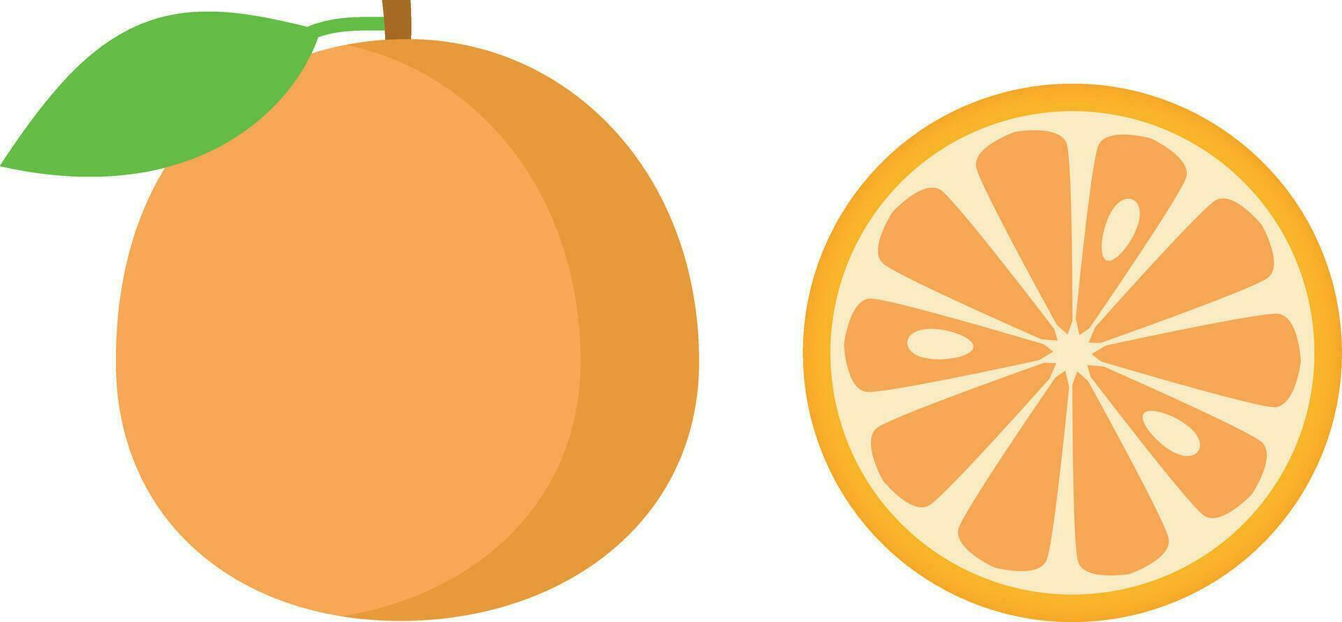 Orange Obst mit Blatt und Scheibe. Vektor Illustration