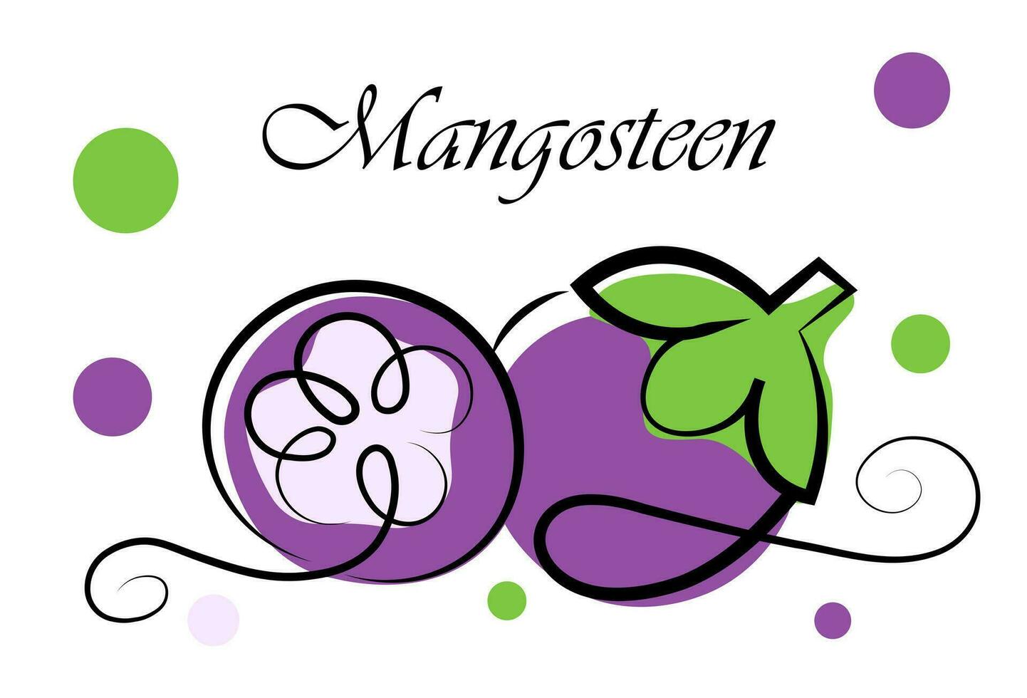 Mangostan auf ein Weiß Hintergrund vektor