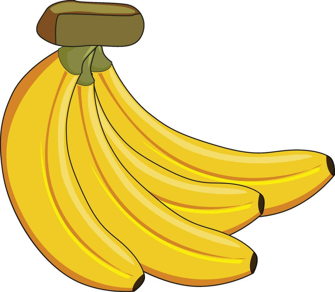ein Bündel von köstlich Bananen vektor