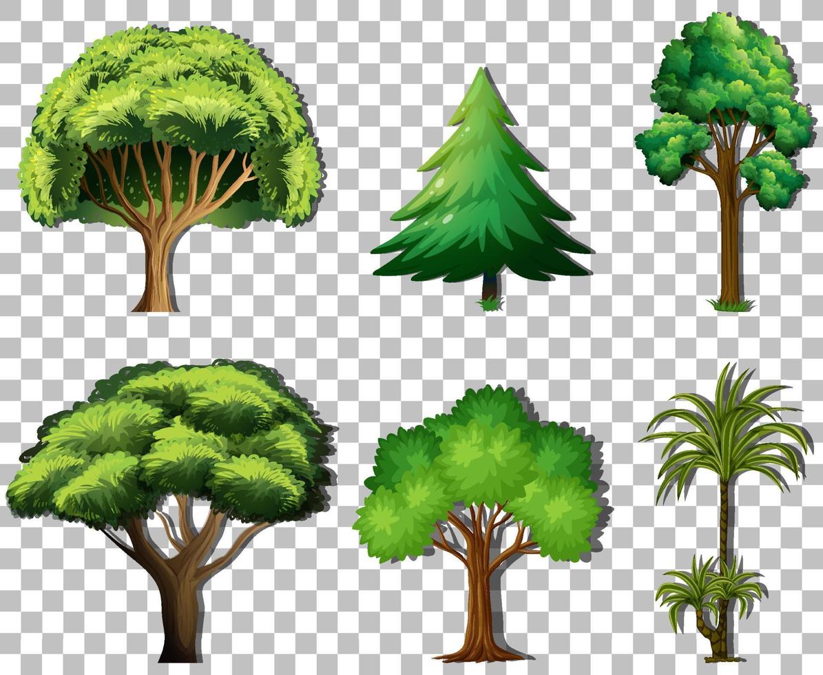 uppsättning olika träd på rutnät bakgrund vektor
