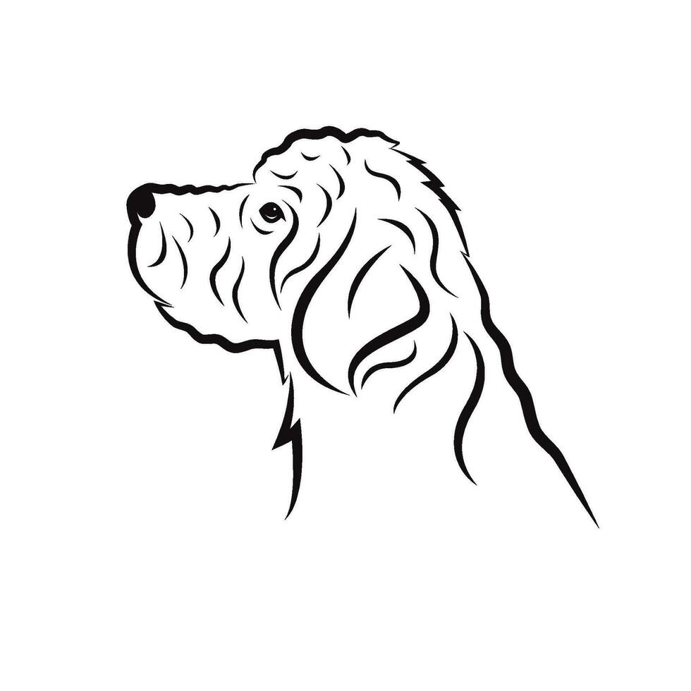 Vektor von Goldendoodle Hund Design auf Weiß Hintergrund. Tiere. Haustier. einfach editierbar geschichtet Vektor Illustration.