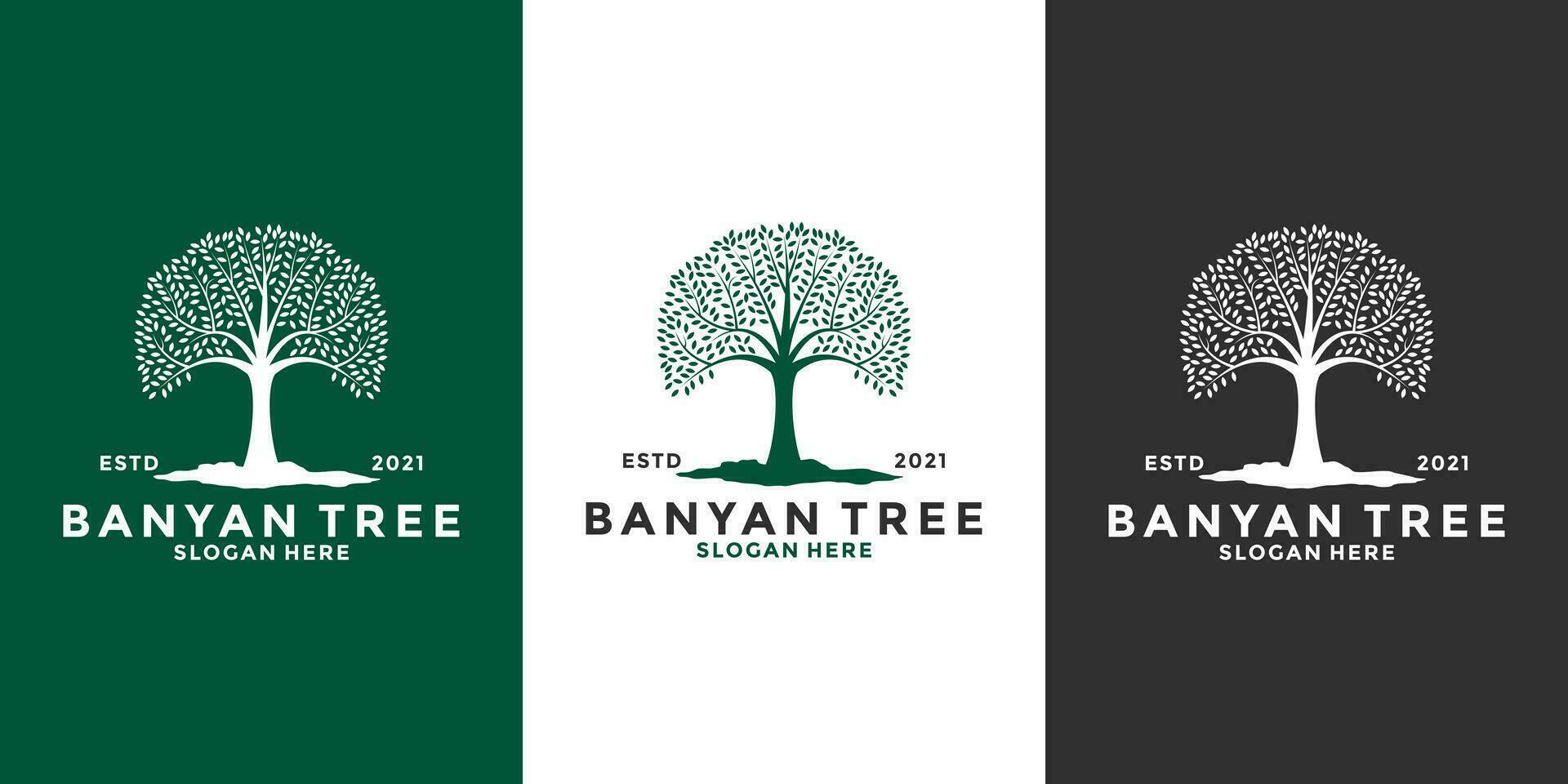 bündeln Banyan Baum Logo Design Vorlage Jahrgang Stil vektor