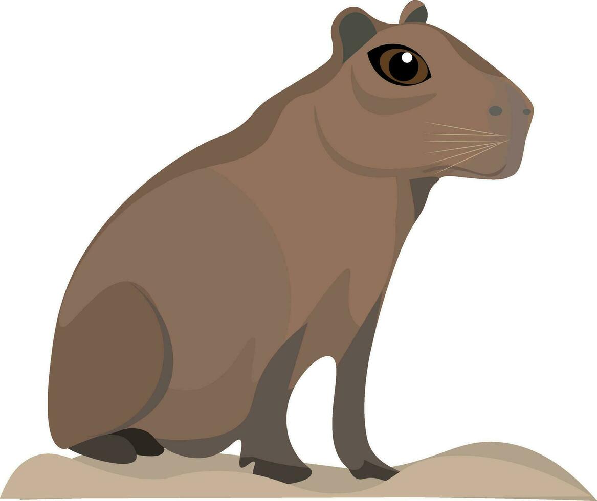 ein Capybara ist Sitzung auf das Boden vektor