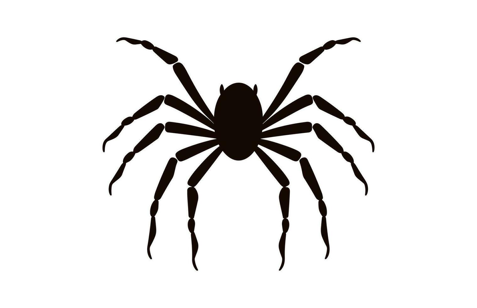 ein Spinne Vektor schwarz Silhouette isoliert auf ein Weiß Hintergrund