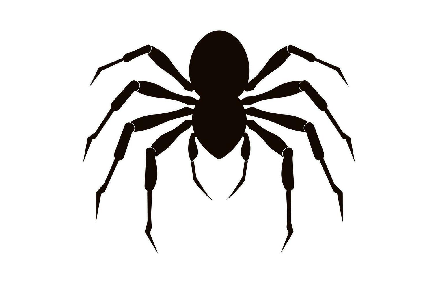 ein Spinne Vektor schwarz Silhouette isoliert auf ein Weiß Hintergrund